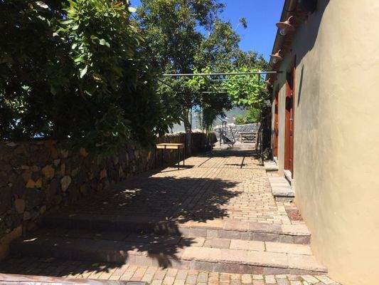 WhatsApp Image 2025-05-01 at 12.50.43 (1).jpeg