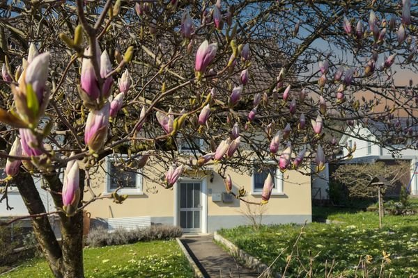 Familiennest Stockach