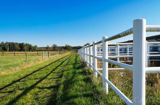 Außenpaddocks 