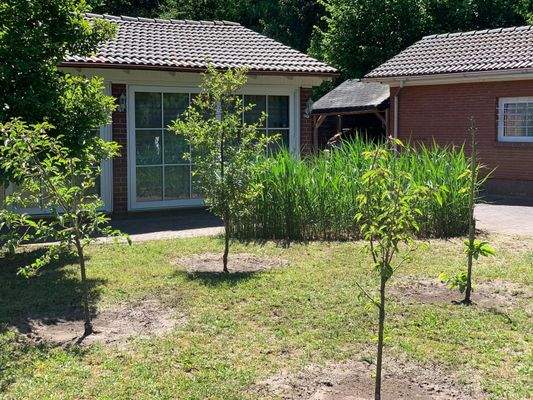 Gästehaus und Garage