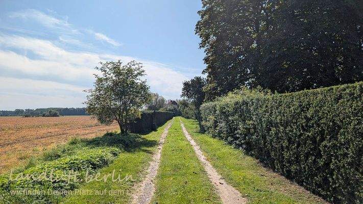 Der Zufahrtsweg, rechts das Grundstück der Nachbarn.jpg