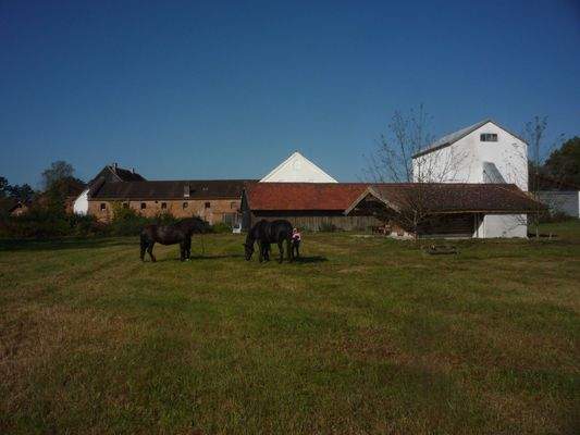 Weideflächen um die Hofstelle     