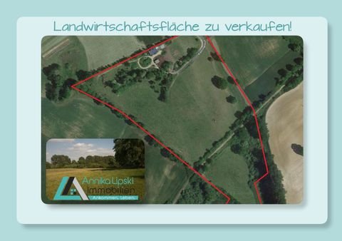 Mittenwalde Bauernhöfe, Landwirtschaft, Mittenwalde Forstwirtschaft