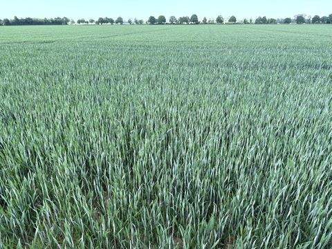 Euskirchen Bauernhöfe, Landwirtschaft, Euskirchen Forstwirtschaft