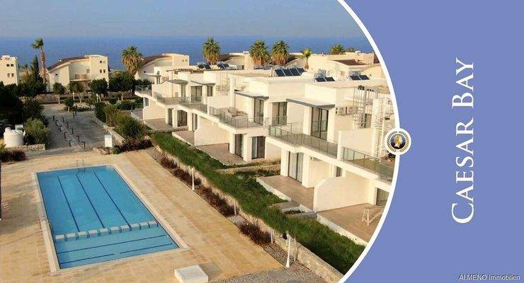 Caesar Projects Catalogue 2024_Seite_37