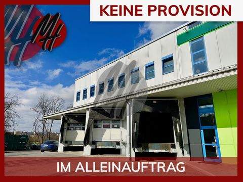 Liederbach Halle, Liederbach Hallenfläche