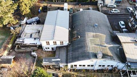 Solingen Halle, Solingen Hallenfläche