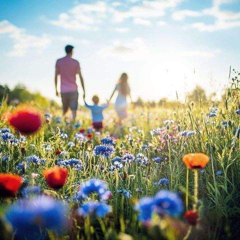 Nürnberg Wohnungen, Nürnberg Wohnung kaufen