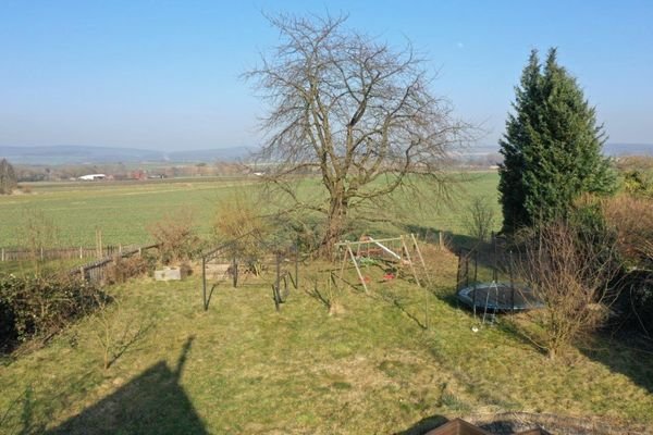 Blick aus denm Garten