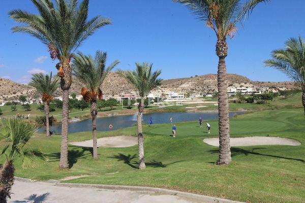Golf View Apartments Near the Sea and City in Alicante