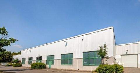 Düsseldorf Halle, Düsseldorf Hallenfläche