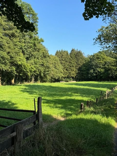 Altenbeken Bauernhöfe, Landwirtschaft, Altenbeken Forstwirtschaft