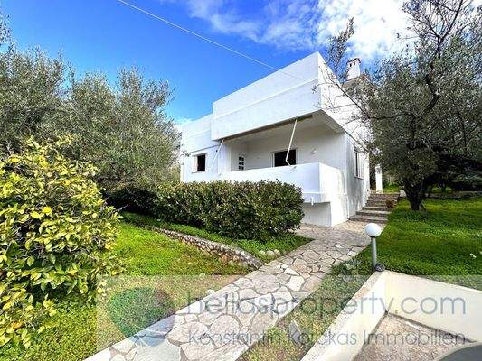 img_25f19138-540d-4582-a7da-7ca5b2e03506