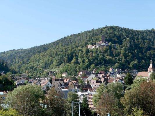 ... Ausblick auf die Burg von Bad Liebenzell
