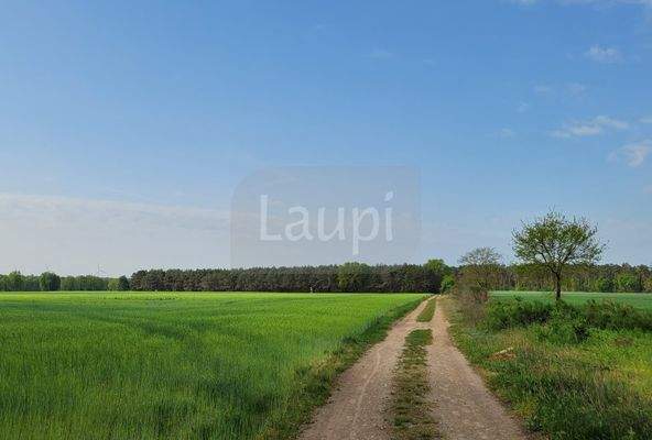 016_P-13667_Wochenendhaus_Wochenendgrundstueck_Bra