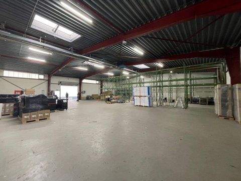 Hamburg Halle, Hamburg Hallenfläche