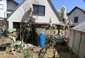 Garten mit Gewächshaus