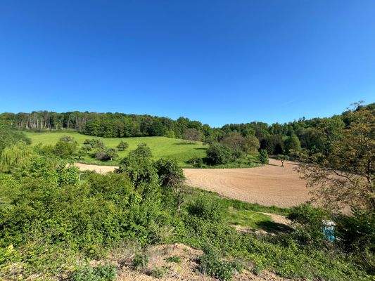 Die Südhanglage ermöglicht ganztägige Sonne und einen freien Blick in die grüne Umgebung