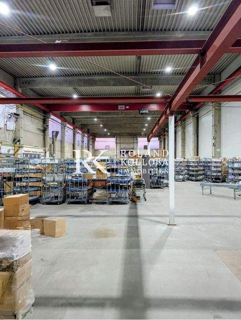 Sarstedt Halle, Sarstedt Hallenfläche