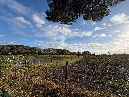 Blick über die Felder