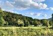 Natur pur zum Wohnen