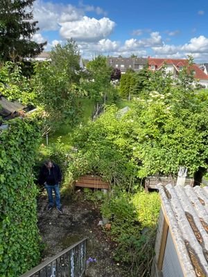 Blick in den Garten