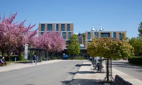 Herrenberg Büros, Büroräume, Büroflächen 