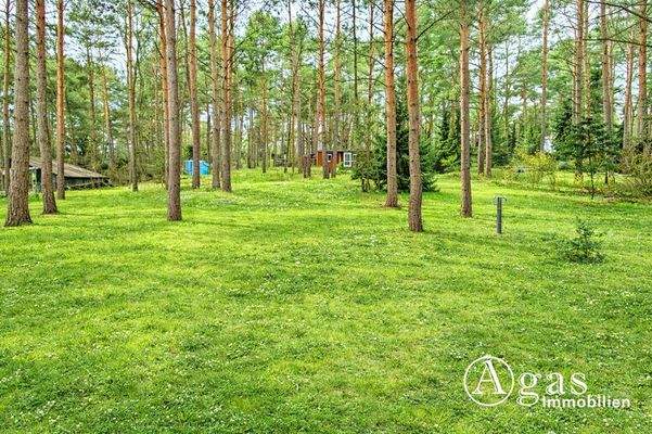 Weitläufiges Grundstück