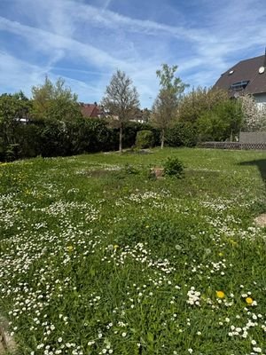 PHOTO-2025-04-28-19-38-40 (3).jpg