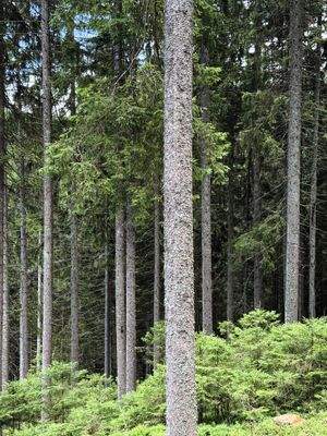 2025-07-22 13.49.27.jpg