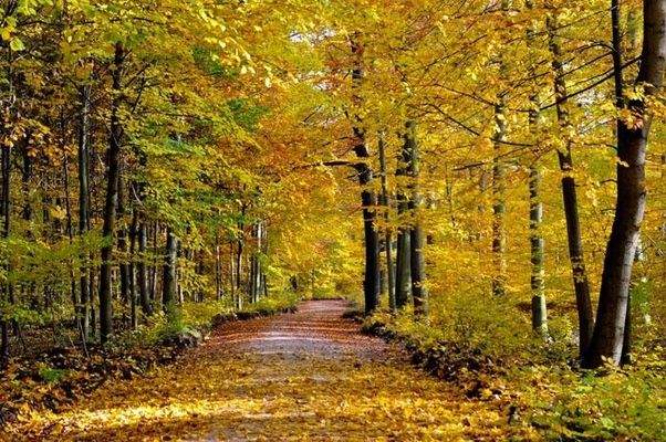 ...und gleichzeitig Naturnah!