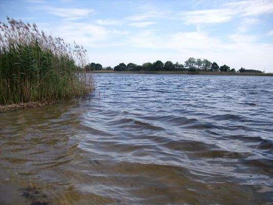 Natur-See straßenseitig gegenüber Wohnhaus