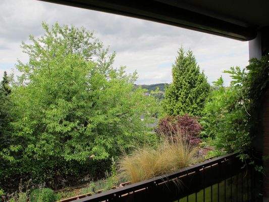 Blick vom Balkon (SW-Ausr.)