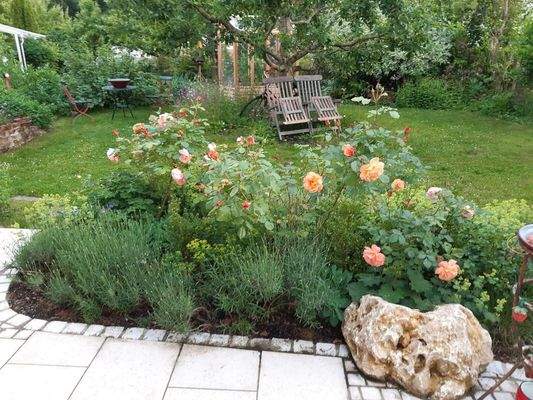 Blick Richtung Apfelbaum