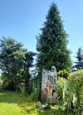 LeBa aussen Park 5.jpg