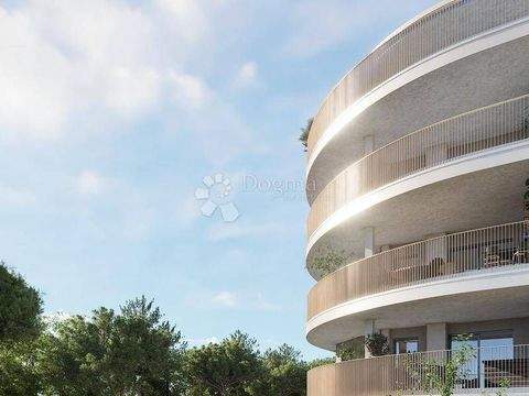 Centar, Luka, Finida Wohnungen, Centar, Luka, Finida Wohnung kaufen