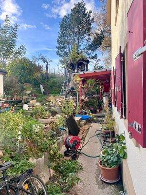 Blick in den Garten.jpg