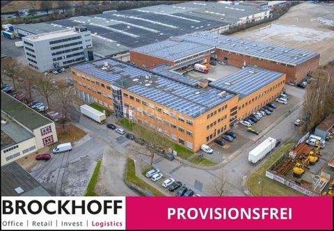 Essen Halle, Essen Hallenfläche