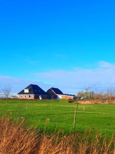 2 top Häuser zusammen zu verkaufen 180 qm+130 qm Bosbüll bei Niebüll nahe Sylt fast Alleinlage