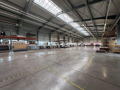 Deißlingen Halle, Deißlingen Hallenfläche