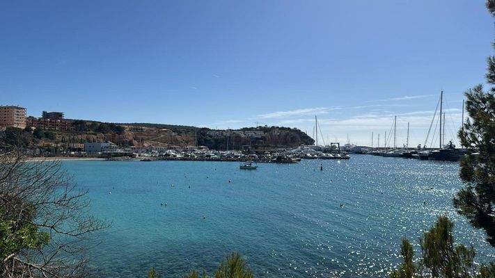 WhatsApp Image 2025-02-26 at 13.49.12