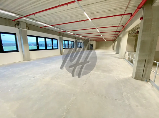 INFOS UNTER: 06171-586000