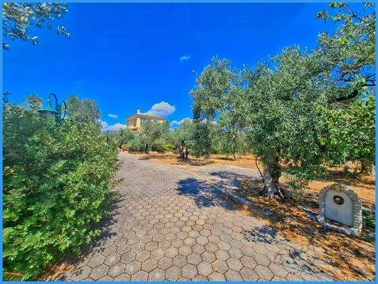 7fb360fce5a94fb4bb6635b9149b5729-original