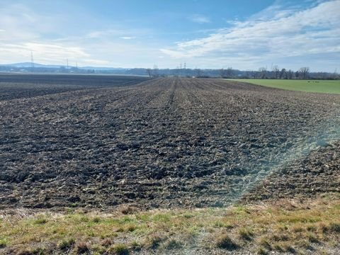 Schmida Bauernhöfe, Landwirtschaft, Schmida Forstwirtschaft