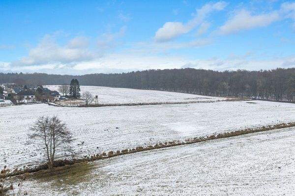 Drohnenfoto angrenzendes Feld