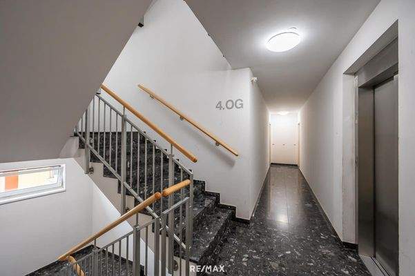 gepflegtes Stiegenhaus