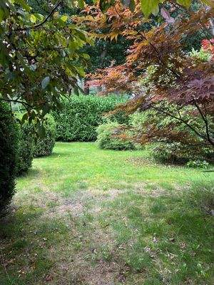 aa9a125a-cd15-4289-9eb6-ee187ac19bb7.jfif