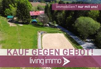 Luftbild