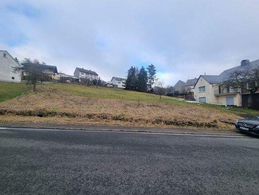 WhatsApp Image 2026-02-09 at 20.54.26.jpeg