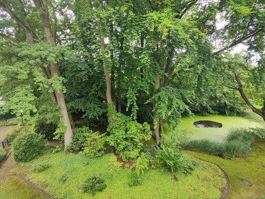 Ausblick von der Dachterrasse